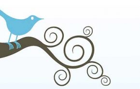 twitter-blogging Como exibir o número de seguidores do Twitter no blog