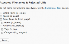 page_types1 WP Super Cache 0.9.6.1 te permite eleger que cachear