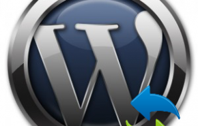 WordPress upgrade: Permitir mais tempo para os servidores lentos