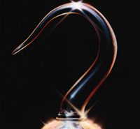 wordpress_hook WordPress Hack: Inserir automaticamente autor bio em cada post