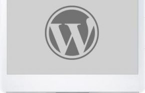 screen_wordpress WordPress 2.9: Novidades e Datas