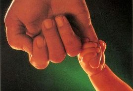 padre-hijo Como obter a ID da categoria superior