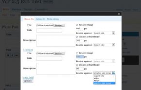 wordpress-plugin-flexible-upload Como mostrar os anexos nos post do nosso WordPress