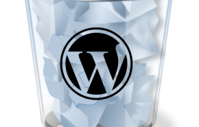 WordPress 2.9 en WordPress.com