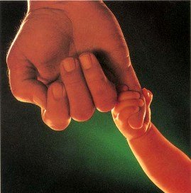 padre hijo - Como obter a ID da categoria superior