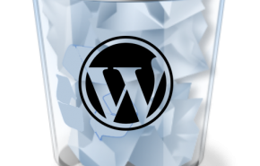 wordpress-trash WordPress 2.9 en WordPress.com
