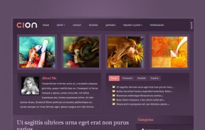 Os 10 temas mais coloridos feitos para WordPress
