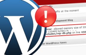 Como resolver o erro “Allowed Memory Exhausted” no WordPress?