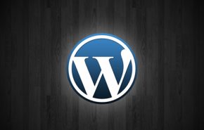wordpress31 Bugs e solução de problemas no novo WordPress 3.1