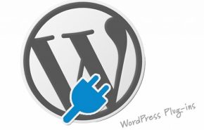 Instalar muitos plugins pode deixa lento ao seu blog!