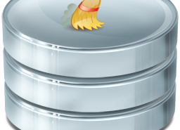 Como limpar a tabela wp_options do seu WordPress