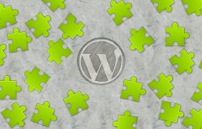 A maneira correta de adicionar funções dos Plugin nos temas